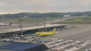 Superlotação de cargas no aeroporto de Guarulhos paralisa liberação de mercadorias